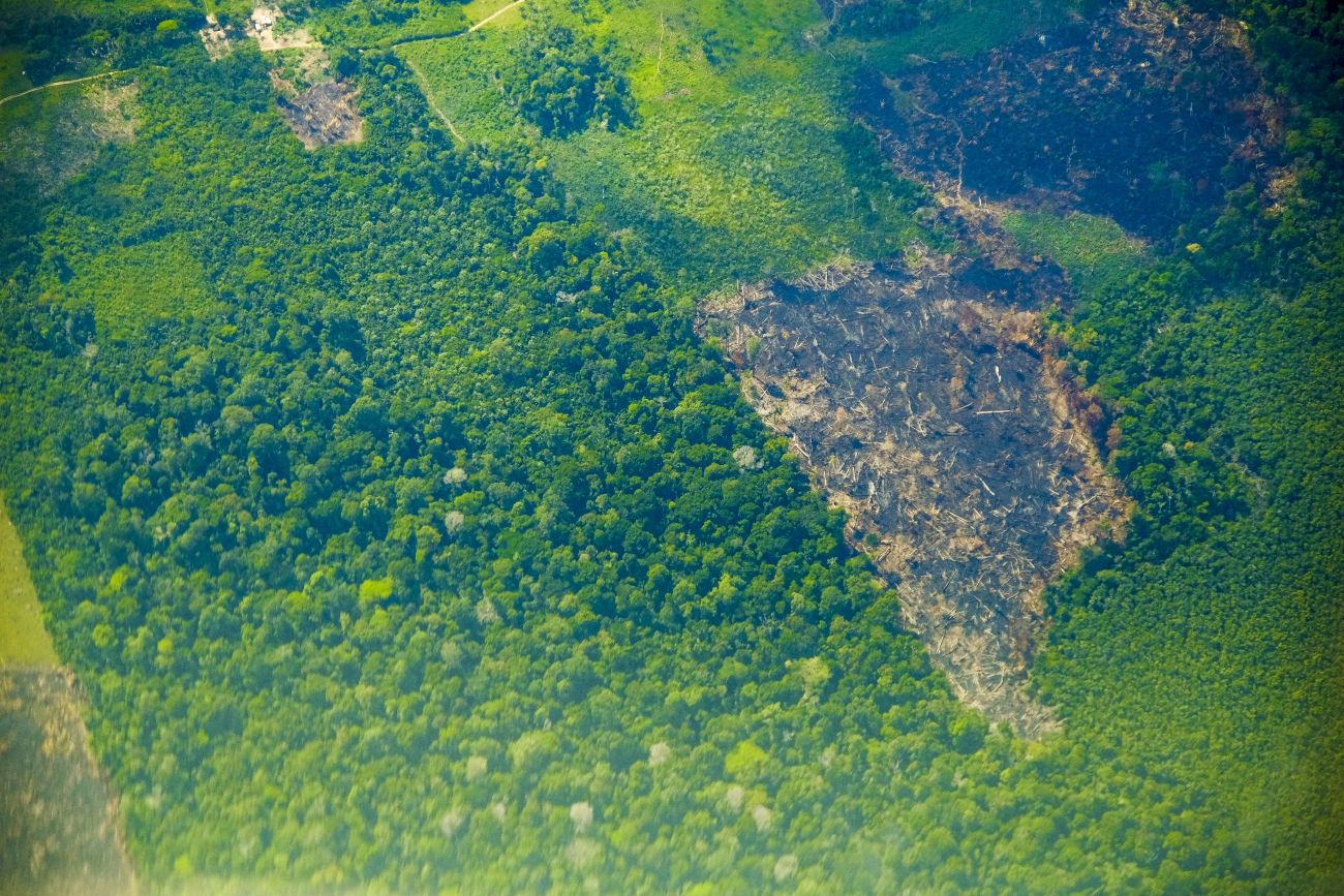 Foto: Pedro Guerreiro / Agência Pará