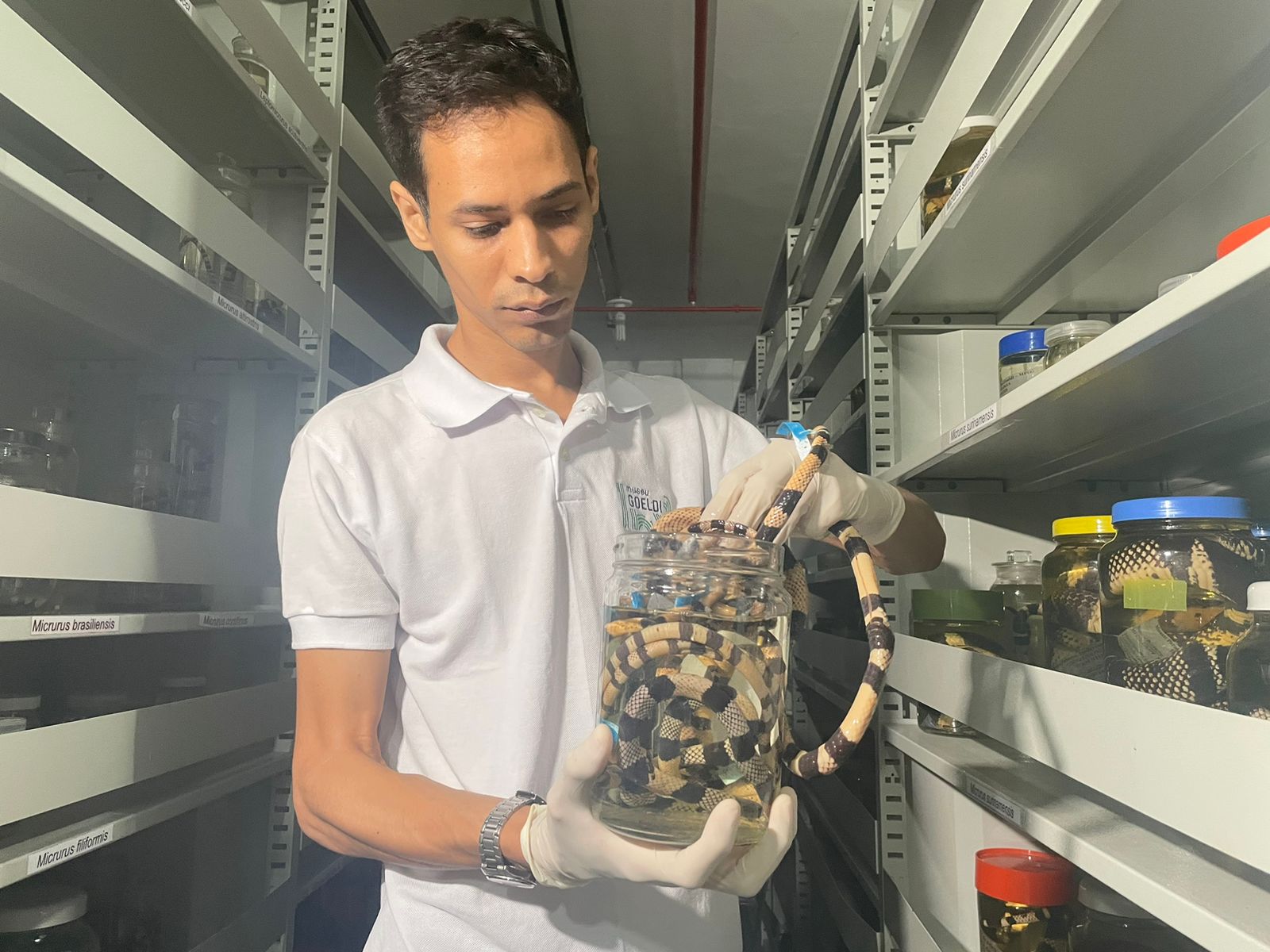 homem segurando recipiente com cobra dentro 