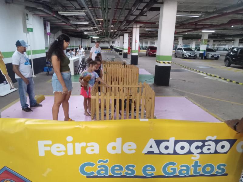 Foto da feira de adoção de cães e gatos shopping