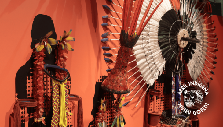 Foto: Kevin Castro/ MPEG