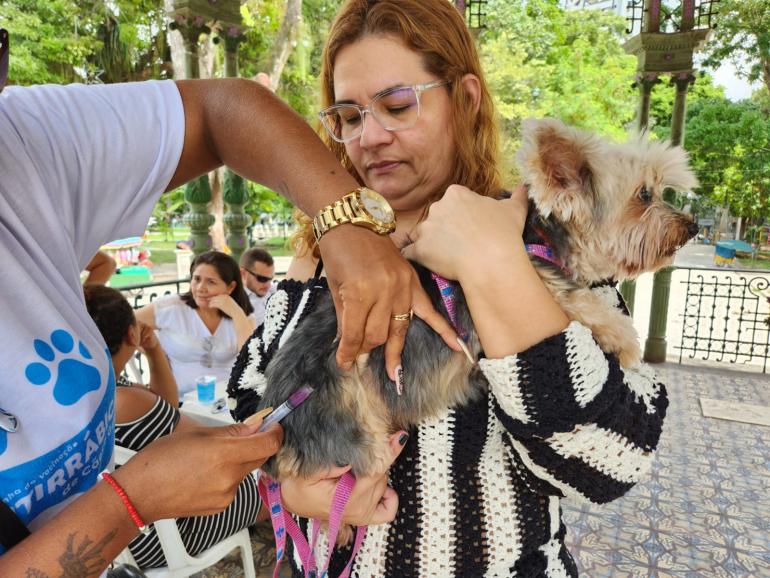 mulher segurando cachorro enquanto ele é vacinado