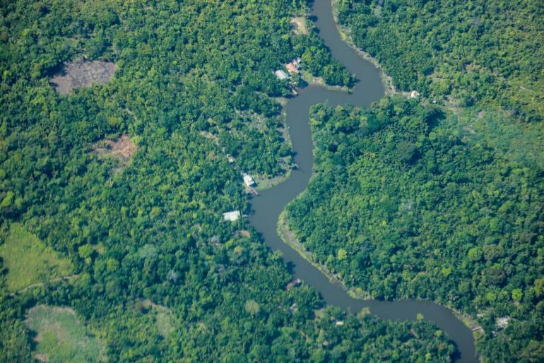imagem aérea da floresta amazônica