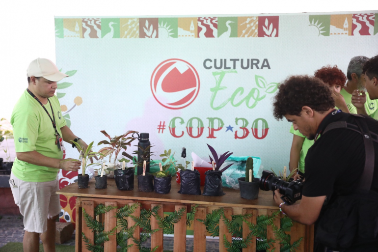 Mudas de Plantas frutíferas e ornamentais estavam à disposição do público para a troca por resíduos durante a festa de 40 anos da Rádio Cultura FM. (Foto: Thiago Ferreira / Portal Cultura)