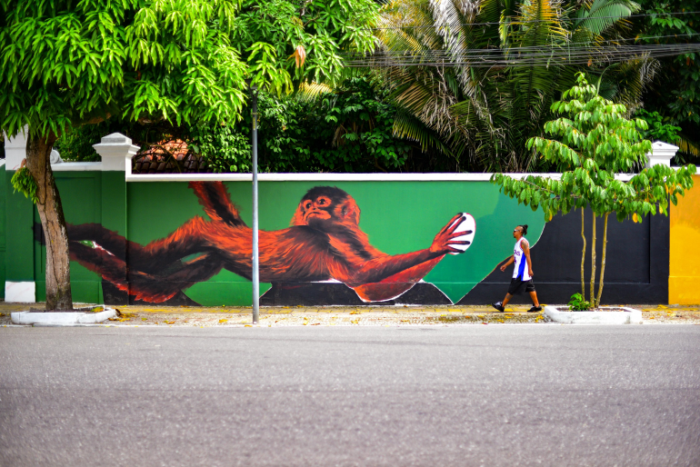Mural pintado em cores amazônicas (Verde, amarelo, marrom) de um Mico-Leão-Dourado