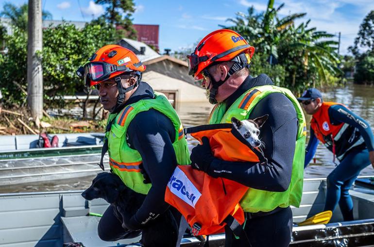 Foto: Thiago Guimarães/Pref. Canoas