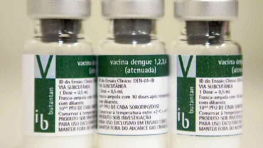 A foto mostra três frascos da vacina contra a dengue produzida pelo Butantan. São frascos de vidro com rótulos nas cores branco e verde, onde estão impressas as informações sobre o imunizante.