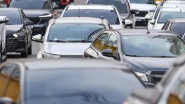 Foto: Rodrigo Pinheiro / Ag. Pará