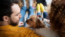 Foto mostra um casal sentado em uma sala de estar com um pequeno cão entre eles.