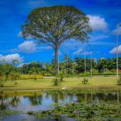 Divulgação/ Crédito: Pamella Herpio