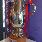 Taça do Campeonato Paraense (Foto: Mateus Miranda)