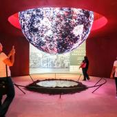 Foto: Bruno Cecim / Ag.Pará