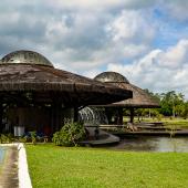 Parque Estadual do Utinga (Foto: Vinicius Pinto / Ag. Pará)