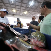 Foto: Marco Santos / Ag. Pará