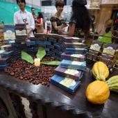 Foto: Rodrigo Pinheiro/ Agência Pará